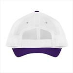Purple with White Mesh Back